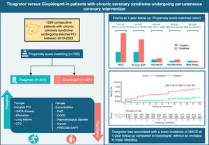 Graphical abstract. COPD: chronic obstructive pulmonary disease; CTO: chronic total occlusion; HR: hazard ratio; LMCA: left main coronary artery; MACE: major adverse cardiac event; PAD: peripheral artery disease; PCI: percutaneous coronary intervention.