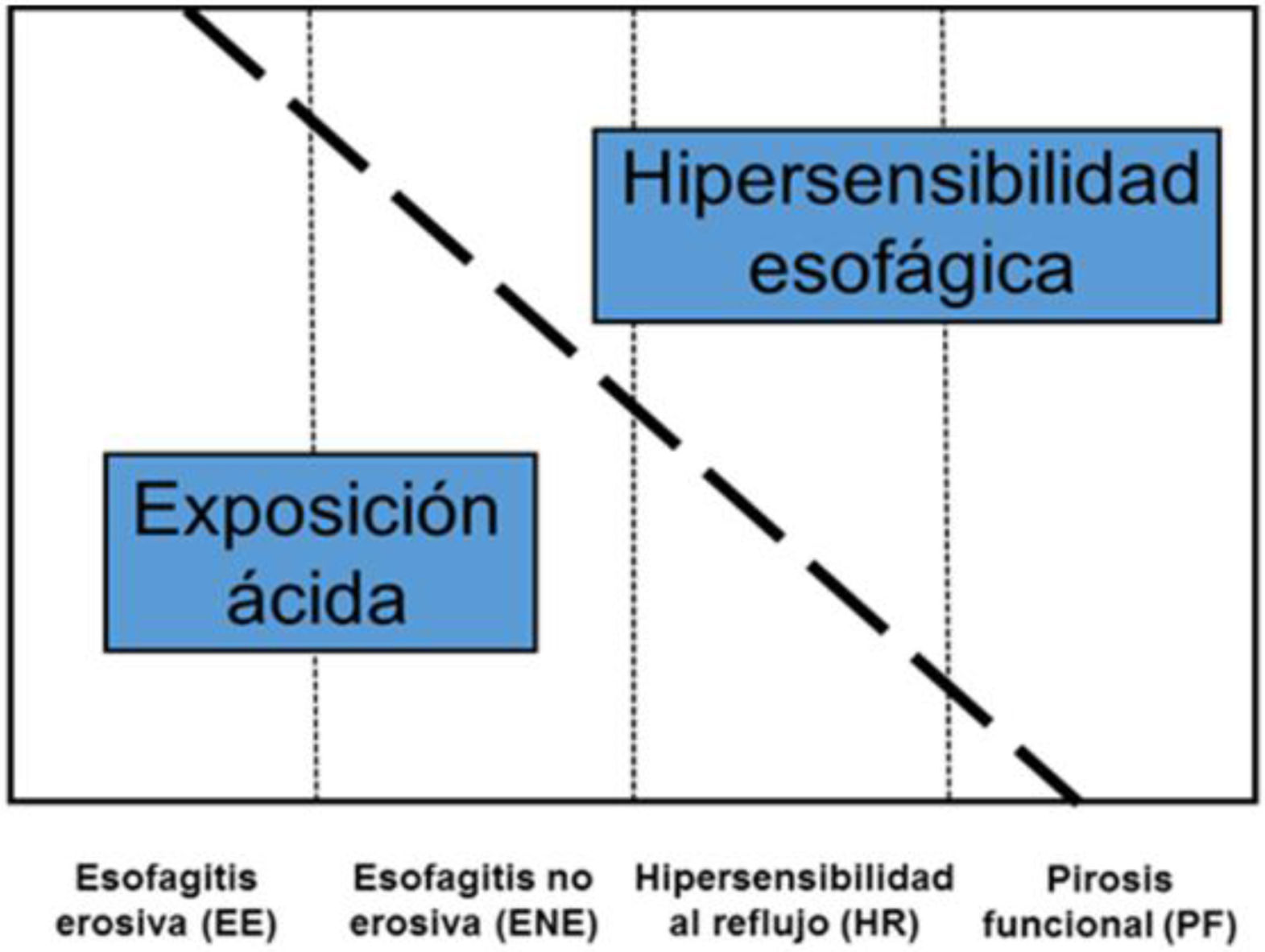 fig0020