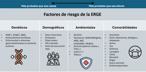 Factores de riesgo de la enfermedad por reflujo gastroesofágico. AINE: antiinflamatorio no esteroideo; AAS: ácido acetilsalicílico; THS: terapia hormonal sustitutiva. Fuente: modificado de Dent J.18