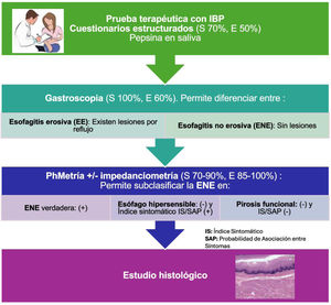 Proceso diagnóstico y tipos de enfermedad por reflujo gastroesofágico. E: especificidad; IBP: inhibidores de la bomba de protones; IS: índice sintomático; S: Sensibilidad; SAP: probabilidad de asociación de síntomas; + = resultado positivo; − = resultado negativo.