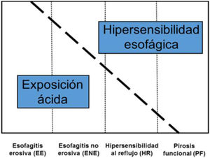 . Papel del ácido en los distintos tipos de enfermedad por reflujo gastroesofágico. Fuente: modificado de Aziz Q., et al.34.