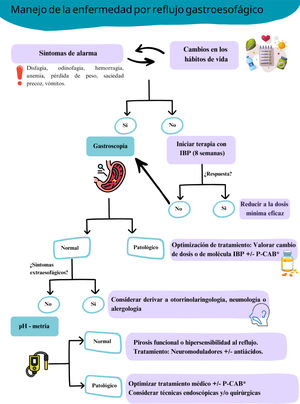 Algoritmo terapéutico propuesto de la enfermedad por reflujo gastroesofágico. IBP: inhibidores de la bomba de protones; P-CAB: bloqueadores de ácido competitivos de K+. *P-CAB en países donde esté disponible.
