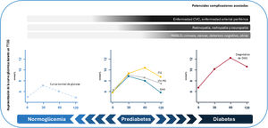 Representación gráfica de potenciales desenlaces de prediabetes expresada como diferentes alteraciones en la curva de TOG. 1hr-PG: elevación de 1h en el TTOG; CVC: cardiovascular; GAA: glucosa de ayunas alterada; ITG: intolerancia a la glucosa; MASLD: disfunción metabólica asociada enfermedad hepática esteatósica; TTOG: test de tolerancia a la glucosa. Fuente: figura creada a partir de Bergman et al.11, Wang et al.12 y Schlesinger et al.13.