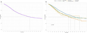 Kaplan–Meier survival curve of whole individuals (A) and according to the Charlson index groups (B): no comorbidities (score 0), mild or moderate disease (scores 1–2), severe disease or mild–moderate failure (scores 3–5), very severe disease or severe failure (scores 6–14). Log-rank test was used to compare the different survival curves (significant levels: NS p≥0.05; *p<0.05; **p<0.01; ***p<0.001).