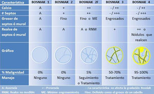 Esquema de la clasificación de Bosniak de las lesiones quísticas renales.