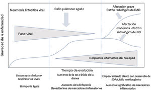 Evolución de los pacientes con COVID-19. La fase inicial se caracteriza por una neumonía linfocítica viral con síntomas leves. Los pacientes con afectación moderada presentan en las pruebas de imagen un patrón radiológico de neumonía organizada. Los pacientes que desarrollan enfermedad grave presentan un síndrome de distrés respiratorio y radiológicamente un patrón de daño alveolar difuso. Adaptada de Siddiqi et al.3.