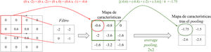Filtros y pooling: El filtro es una matriz que va recorriendo la imagen y va realizando una operación de multiplicación elemento a elemento y suma para obtener un valor (convolución). Obtenemos valores altos cuando aplicamos el filtro sobre una característica similar al mismo y valores bajos cuando lo aplicamos sobre una distinta. En un filtro que detecte bordes verticales, si obtenemos valores altos significa que se ha detectado un borde vertical. ¿Recuerda esto a las células de la corteza visual primaria? Por otro lado, la capa de pooling, de tipo average y de tamaño 2 × 2 en este ejemplo, realiza la media de los valores del rango, reduciendo la dimensionalidad del mapa de características.