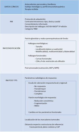 Esquema de informe estructurado. BI-RADS®: Breast Imaging Reporting and Data System; CAP: complejo aréola-pezón; CDA: coeficiente de difusión aparente; MIP: proyecciones de máxima intensidad; MPR: reconstrucción multiplanar; TPS: terapia primaria sistémica.