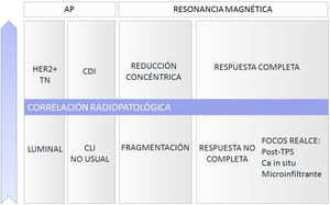Correlación radiopatológica en función de criterios anatomopatológicos y de respuesta en la RM. AP: anatomía patológica; CDI: carcinoma ductal infiltrante; CLI: carcinoma lobulillar infiltrante; TN: triple negativo; TPS: terapia primaria sistémica.