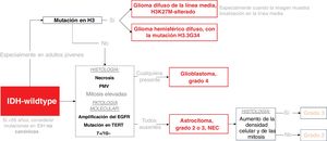 Esquema de clasificación de los gliomas IDH-wildtype en adultos. Las mutaciones en H3 se consideran gliomas de tipo pediátrico, pero se incluyen aquí debido a su posible interés en adultos jóvenes. El recuadro discontinuo resalta los escenarios en los que la patología molecular puede determinar un tumor de grado 4, independientemente de la histología. EGFR: receptor del factor de crecimiento epidérmico; IDH: gen isocitrato deshidrogenasa; H3: histona 3; NEC: «not elsewhere classified»; PMV: proliferación microvascular; TERT: transcriptasa inversa de la telomerasa.