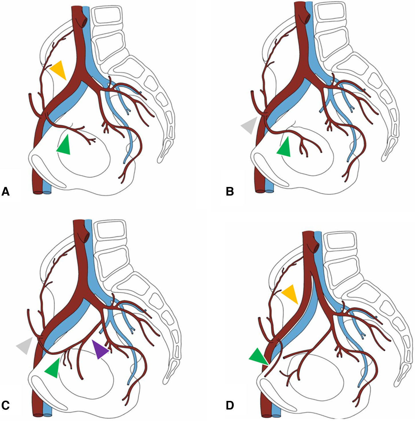 fig0005