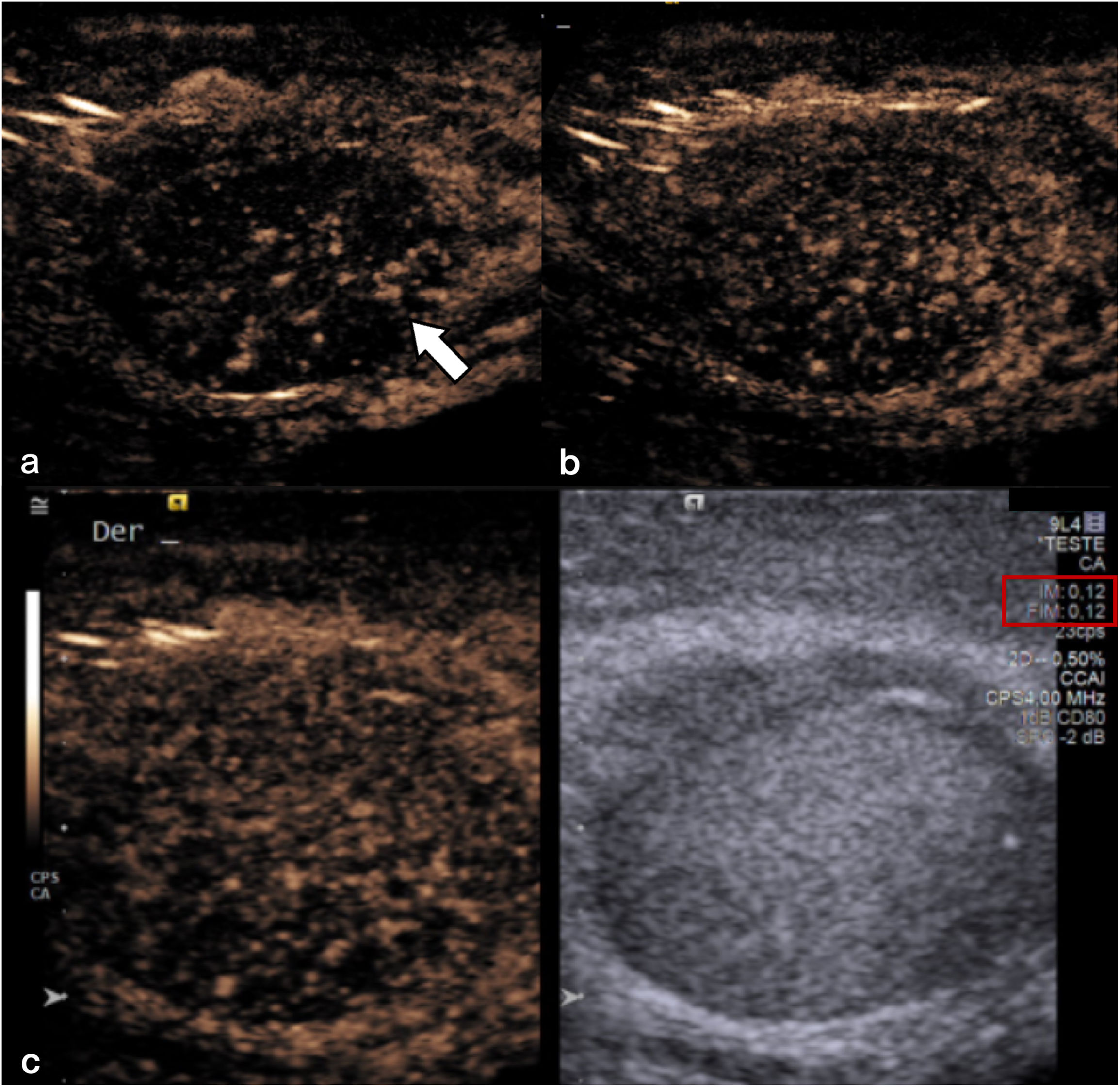 fig0005