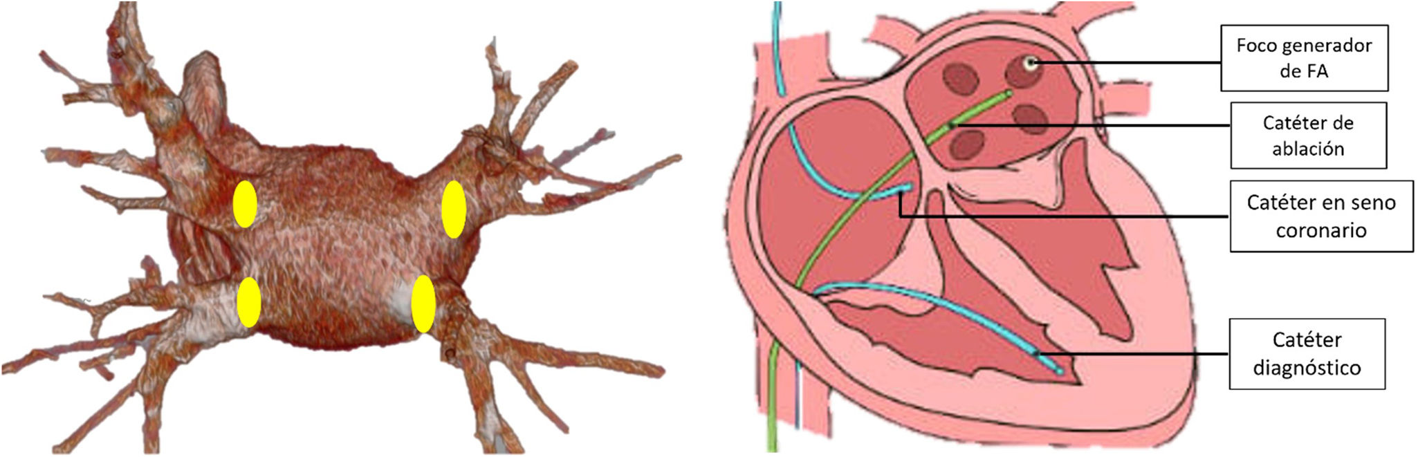 fig0005