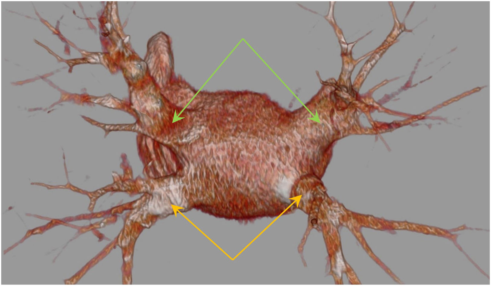 fig0010