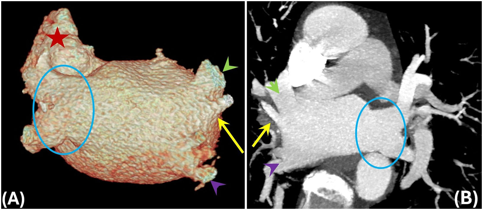 fig0020