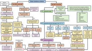 Algoritmo diagnóstico y terapéutico en pacientes con dolor torácico estable o crónico, basado en las recomendaciones de CAD-RADS 2.0, AHA y ESC. CAC: puntuación de calcio de la arteria coronaria; CTC: coronariografía por tomografía computarizada; DM: diabetes mellitus; EAC: enfermedad arterial coronaria; ECG: electrocardiograma; ECO: ecocardiograma; ERC; enfermedad renal crónica; HTA: hipertensión arterial; IFR: relación de la presión instantánea en el periodo libre de ondas (instant wave-free ratio); PET: tomografía por emisión de positrones (positron emission tomography); RF-CL: factores de riesgo clínicos (risk-factor-weighted clinical likelihood); RFF: reserva fraccional de flujo; RMC: resonancia magnética cardíaca; SPECT: tomografía computarizada por emisión de fotón único (single-photon emission computed tomography); TCP: TC de estrés con perfusión miocárdica; TC-RFF: TC con reserva fraccional de flujo.