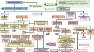 Algoritmo diagnóstico y terapéutico en pacientes con dolor torácico agudo, basado en las recomendaciones de CAD-RADS 2.0, AHA y ESC. CAC: puntuación de calcio de la arteria coronaria; CTC: coronariografía por tomografía computarizada; DM: diabetes mellitus; EAC: enfermedad arterial coronaria; ECG: electrocardiograma; ECO: ecocardiograma; ERC: enfermedad renal crónica; GRACE Risk Score 2.0, registro global de eventos coronarios agudos (Global Registry of Acute Coronary Events); HTA: hipertensión arterial; IFR: relación de la presión instantánea en el periodo libre de ondas (instant wave-free ratio); PET: tomografía por emisión de positrones (positron emission tomography); RFF: reserva fraccional de flujo; RMC: resonancia magnética cardíaca; SPECT: tomografía computarizada por emisión de fotón único (single-photon emission computed comography); TCP: TC de estrés con perfusión miocárdica; TC-RFF: TC con reserva fraccional de flujo; TIMI Risk Score: trombólisis en infarto de miocardio (thrombolysis in myocardial infarction).