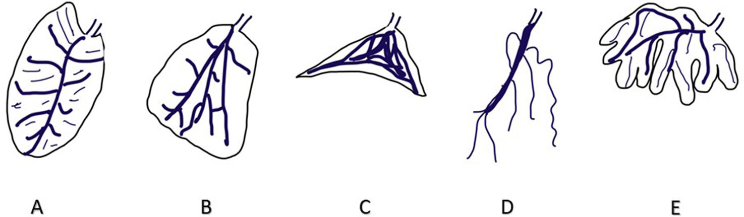 fig0025