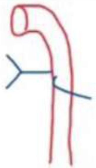 202606052141018822