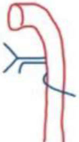 202606052141018824