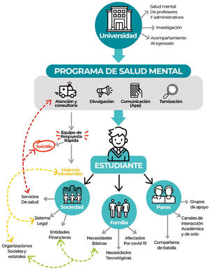Acciones para la salud mental de los estudiantes universitarios. Se resalta el modelo conceptual del ecosistema que tenga en cuenta las interacciones del estudiante con su familia, sus compañeros y el resto de la sociedad. Entre las acciones recomendadas, resalta la creación de un programa específico por parte de la universidad que aborde específicamente la salud mental de los estudiantes y englobe los distintos focos. El programa debe contar con recursos para cribar síntomas, pero también necesidades básicas y tecnológicas insatisfechas. Por ello es necesario articularse con otros entes. Asimismo, deben haber mecanismos para situaciones de crisis, como el suicidio y la violencia intrafamiliar. Esto resalta la conexión que debe existir con los servicios de salud y otros actores que puedan ayudar. Fuente: elaboración propia.