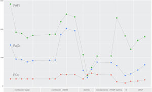 Gráfica mostrando los resultados de PaO2 (en mmHg), FiO2 (%) y PaO2/FiO2 obtenidos a lo largo de las diferentes fases del estudio; 1) Ventilación basal, 2) Ventilación basal con bloqueante neuromuscular (BNM), 3) Distrés respiratorio agudo, 4) Reclutamiento alveolar con búsqueda de PEEP óptima, 5) Broncoconstricción (B) y 6) ventilación espontánea con CPAP.