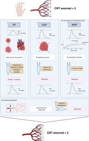 Patrones hemodinámicos clave e intervenciones de reanimación del ensayo ANDROMEDA-SHOCK-2. Creado con BioRender.com.