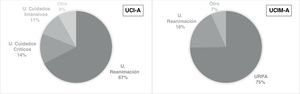 Distribución de la denominación de las UCI-A y las UCIM-A. UCI-A: Unida de Cuidados Intensivos gestionada por Servicios de Anestesiología y Reanimación; UCIM-A: Unidad de Cuidados Intermedios gestionada por Servicios de Anestesiología y Reanimación.