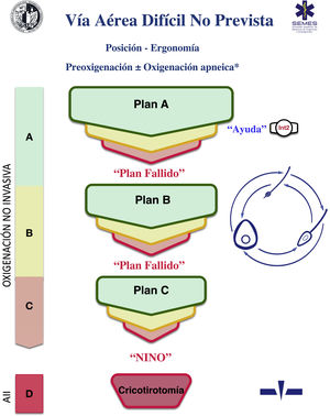 Ayuda cognitiva propuesto por la SEDAR y la SEMES para el manejo de la vía aérea difícil no prevista. AII: acceso infraglótico invasivo; Int2: segundo operador.