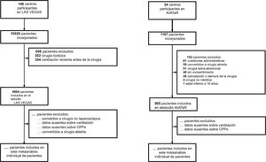 Flujo de inclusión que destaca el presente metaanálisis de los datos de pacientes individuales.AVATaR: Assessment of Ventilatory management during general Anesthesia for Robotic surgery and its effects on postoperative pulmonary complications; CPP: complicaciones pulmonares postoperatorias; LAS VEGAS: Local ASsessment of VEntilatory management during General Anaesthesia for Surgery.
