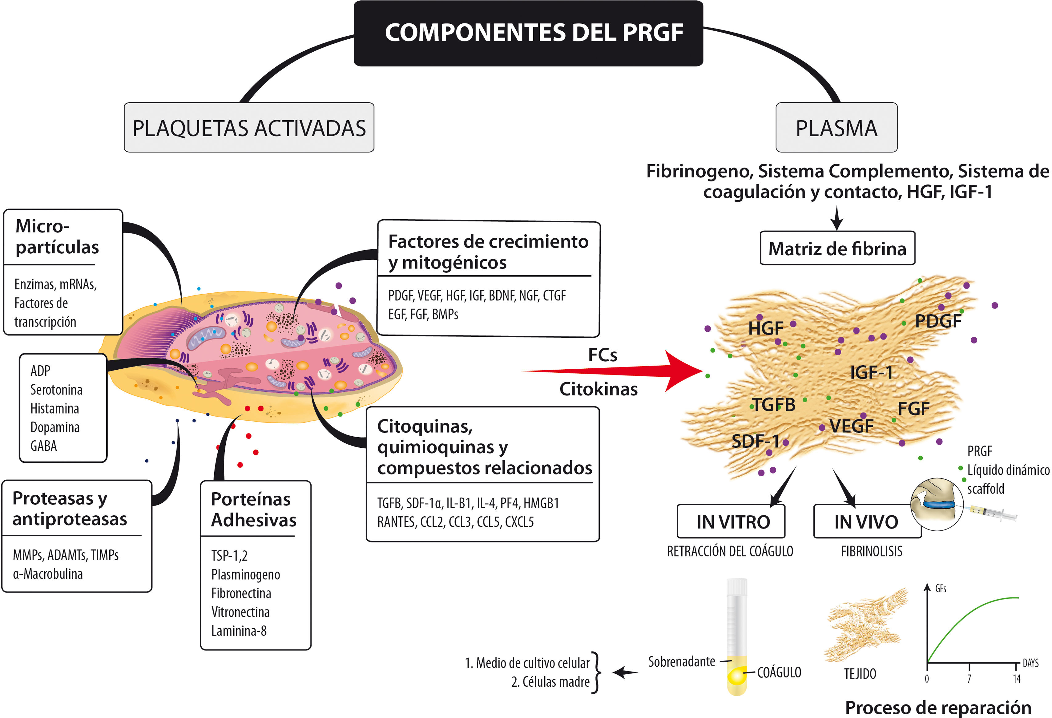 fig0020
