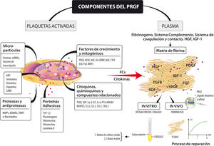 Los principales componentes del plasma rico en factores de crecimiento. Fuente: tomado de Anitua et al. [12].