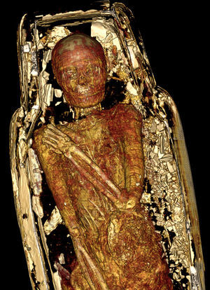Reconstrucción tridimensional, vista coronal, de la momia femenina dentro de su ataúd: se evidencia la posición de los brazos y los restos de cartonaje.