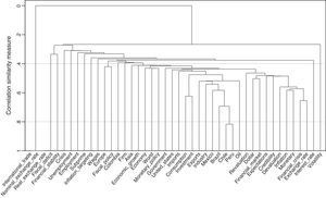 Colombia – cluster analysis. Dendrogram. Note: Dendrogram using a subset of predefined terms (listed in Table 6).