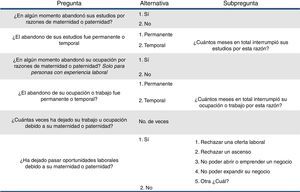 Preguntas utilizadas de la Gran Encuesta Integrada de Hogares (GEIH) para la evaluación de los canales de impacto.