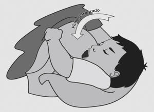 Teoría de la contaminación. Modificado de Jeurink et al.2