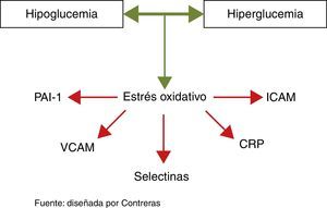 Efecto generador de estrés oxidativo e inflamación de la hipo- e hiperglucemia.