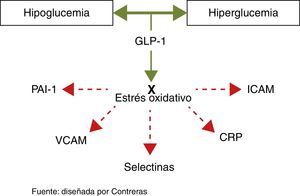 Efecto protector vascular del GLP-1 sobre el endotelio.