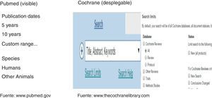 Filtros o delimitadores de PubMed y Cochrane.