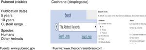 Filters or delimiters of PubMed and Cochrane.
