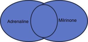 Search results of two subjects using the OR/O operator.