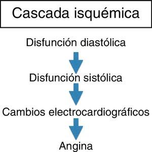 Ilustra el proceso de la cascada isquémica que depende principalmente de la disfunción diastólica que facilita la disfunción sistólica con inminentes cambios isquémicos en el miocardio llevando las alteraciones electrocardiográficas que resultan en la angina de pecho.