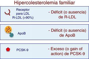 Principales causas genéticas de la hipercolesterolemia.
