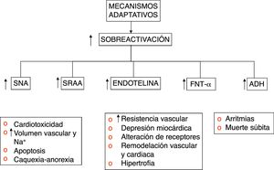 Mecanismos mal adaptativos del sistema neurohormonal en falla.