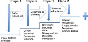 Estratificación de la falla cardíaca. Tratamiento de la falla cardíaca de acuerdo con las etapas de riesgo. La secuencia muestra el manejo médico inicial de acuerdo con la etapa en que se presenten.