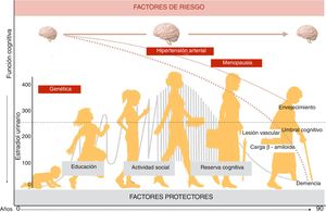Interacción entre factores de riesgo y factores protectores a lo largo de la vida de la mujer. Adaptada de: Kivipelto M et al. Alzheimer's & Dementia 9;2013:657–65.