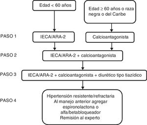 Algoritmo de manejo antihipertensivo sin comorbilidades definidas Edad ≥ 60 años o raza negra o del Caribe.
