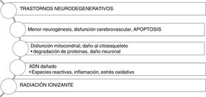 Radiación ionizante, daño neuronal y enfermedades neurodegenerativas (Elaboración propia).