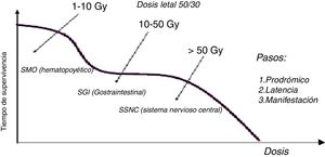 Tiempo de supervivencia del individuo irradiado en función de la dosis.
