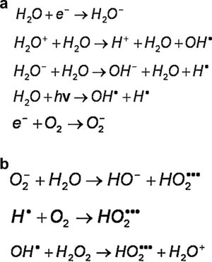 Radiólisis del agua.